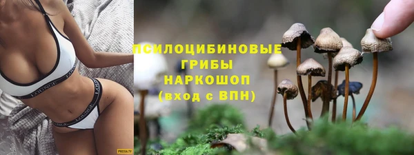 стафф Россошь