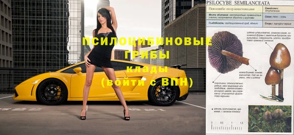 прущие крисы Балахна