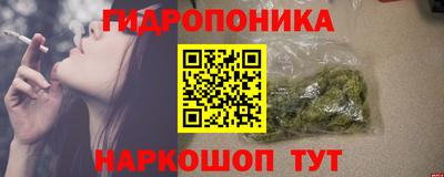 дмт Канаш