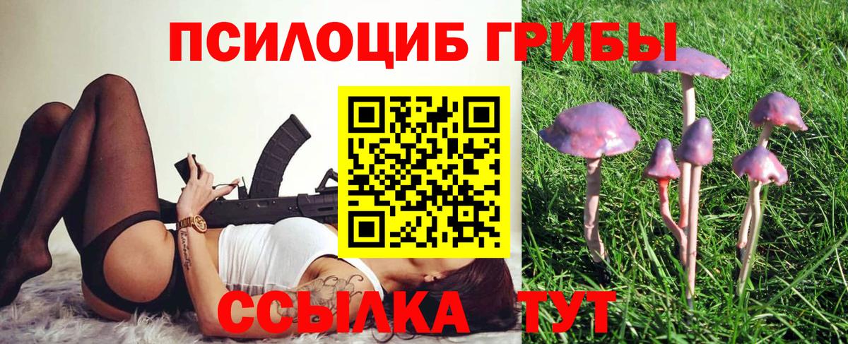 Псилоцибиновые грибы Psilocybine cubensis  Псилоцибиновые грибы MAGIC MUSHROOMS  Вход с VPN  Кунгур 