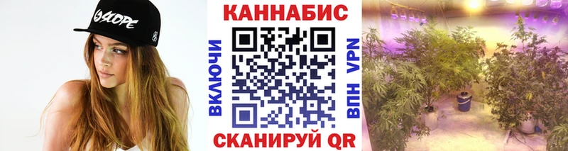Канабис план  ОМГ ОМГ как зайти  Кунгур 